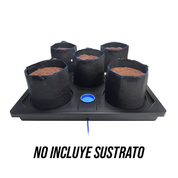 Módulo Auto5 XL de 1,2m (con 5 macetas FlexiPot de 36,50L)