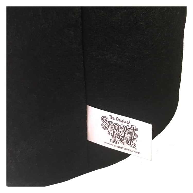 Maceta geotextil FlexiPot de 20L - Imagen 3