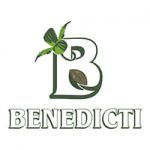 logotipo-benedicti