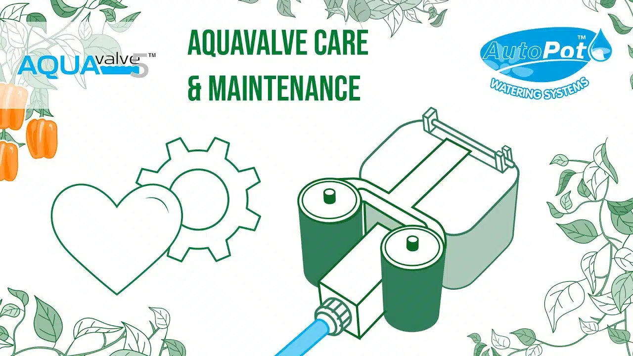 AutoPot AQUAvalve Care