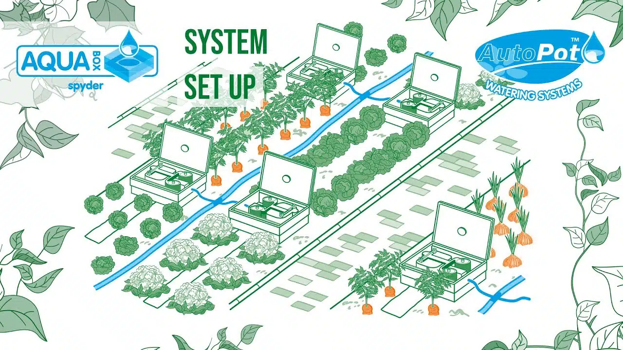 AutoPot AQUAbox Straight Setup