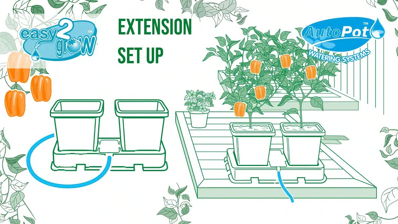 AutoPot easy2grow Extension Set Up
